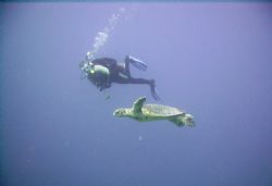 Photo of my dive buddy swimming along side a turtle......... by Brian Schembera 